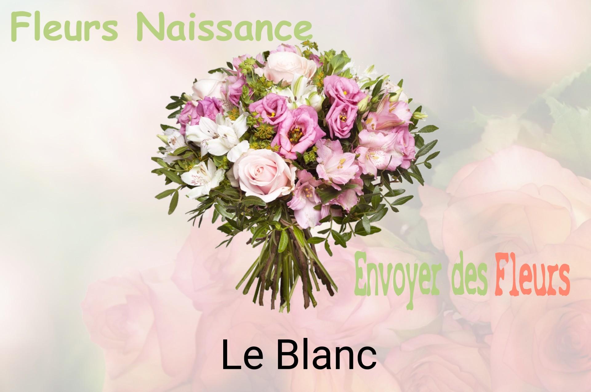 Bouquet de fleurs de naissance livré à Le Blanc
